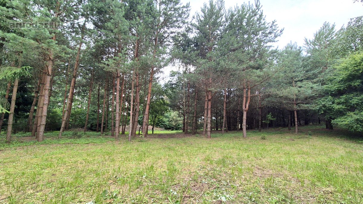 Ieškantiems Ramybės, Gamtos Ir Privatumo – - nuotraukos Nr. 13