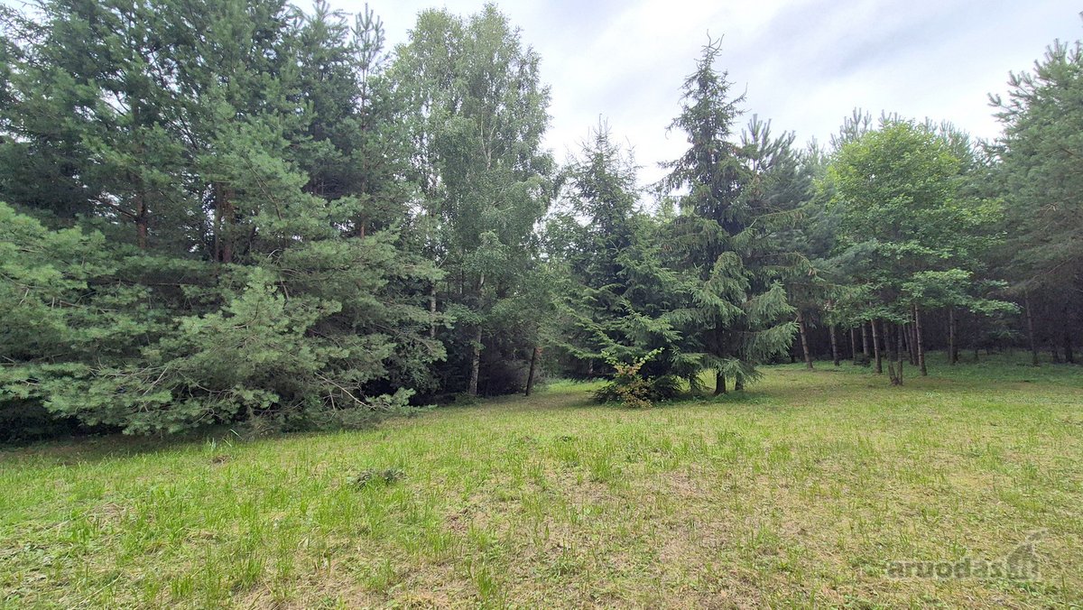 Ieškantiems Ramybės, Gamtos Ir Privatumo – - nuotraukos Nr. 15