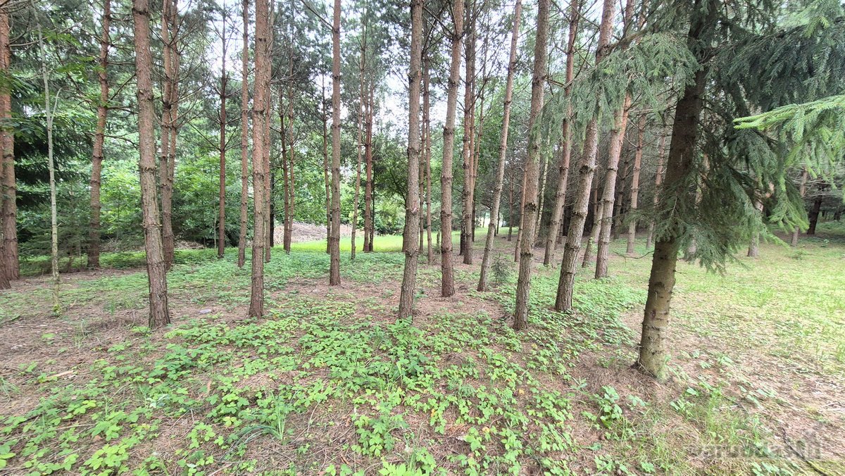 Ieškantiems Ramybės, Gamtos Ir Privatumo – - nuotraukos Nr. 17