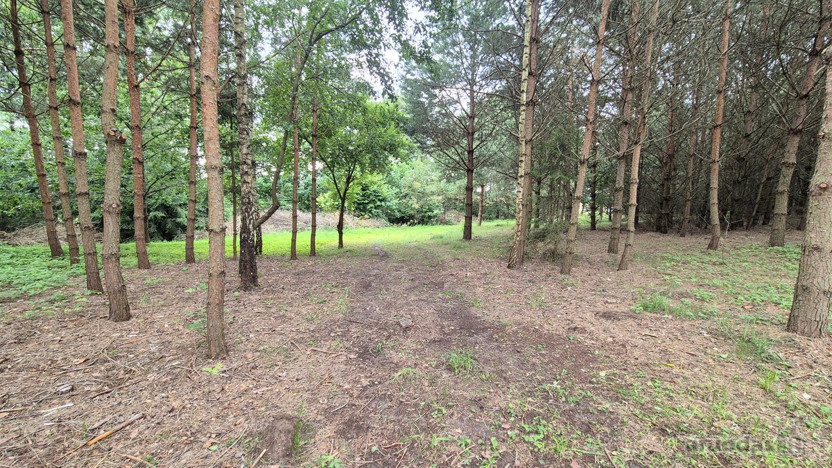 Ieškantiems Ramybės, Gamtos Ir Privatumo – - nuotraukos Nr. 18