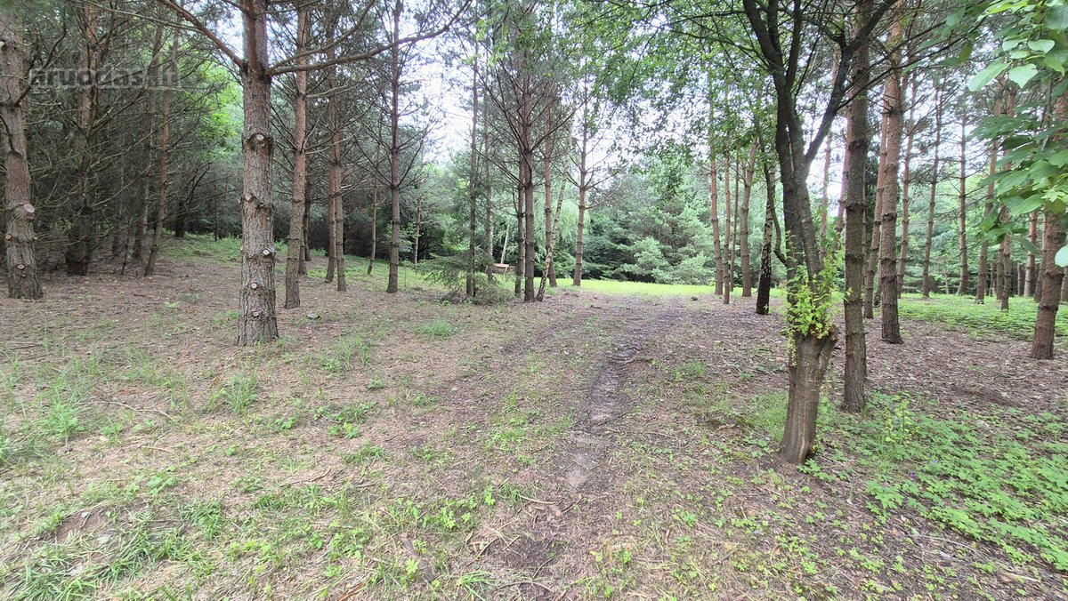 Ieškantiems Ramybės, Gamtos Ir Privatumo – - nuotraukos Nr. 20
