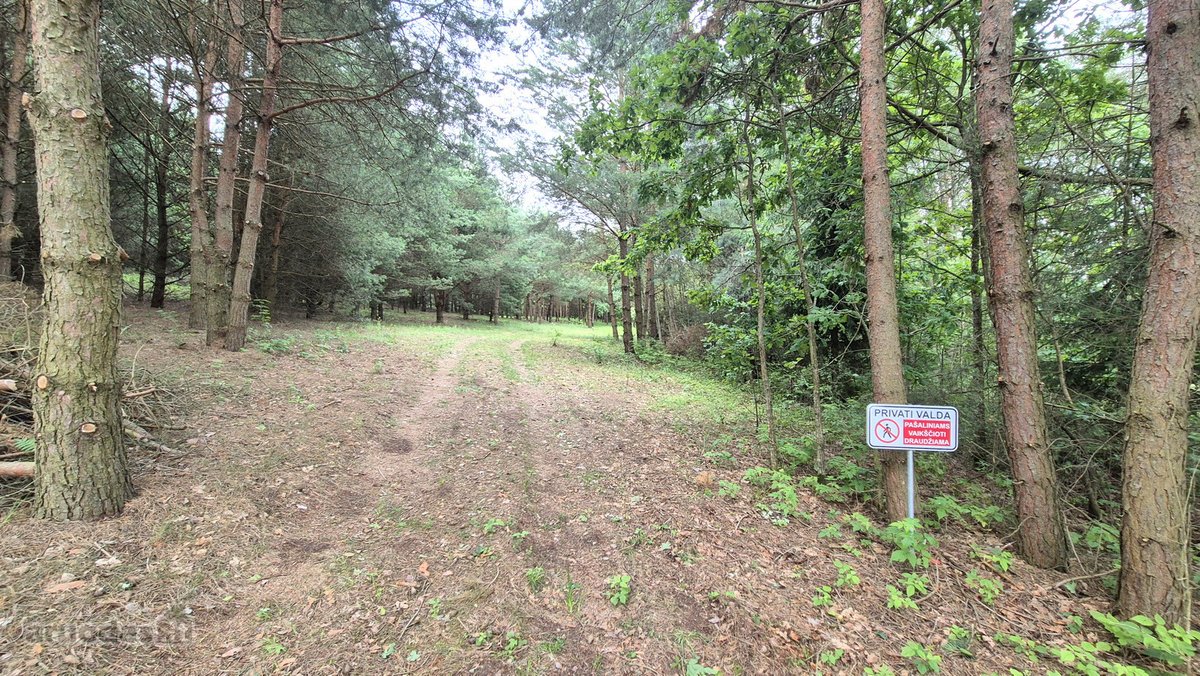 Ieškantiems Ramybės, Gamtos Ir Privatumo – - nuotraukos Nr. 22