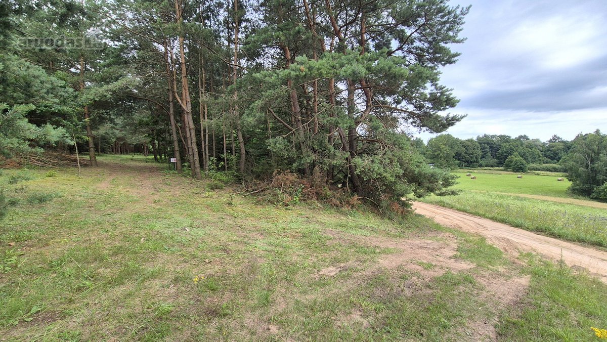 Ieškantiems Ramybės, Gamtos Ir Privatumo – - nuotraukos Nr. 23