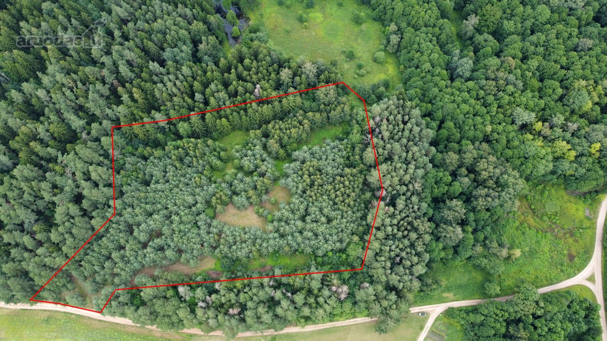 Ieškantiems Ramybės, Gamtos Ir Privatumo – - nuotraukos Nr. 3