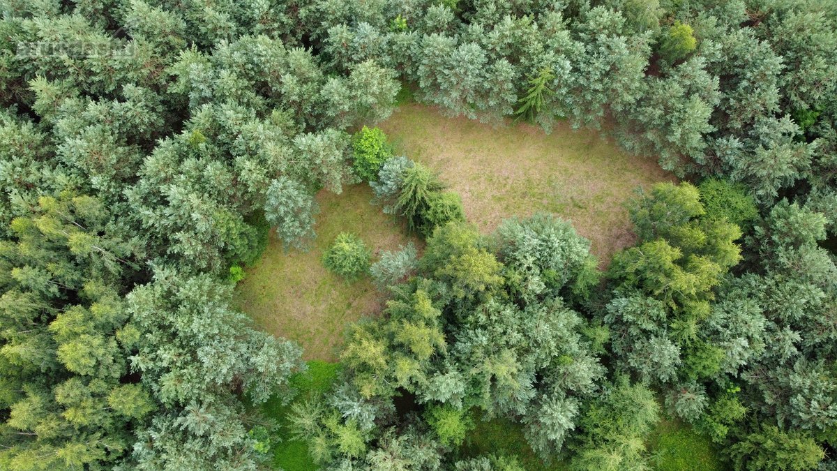 Ieškantiems Ramybės, Gamtos Ir Privatumo – - nuotraukos Nr. 8