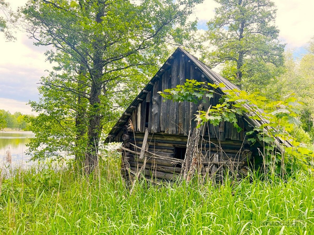 Pirtis Prie Ežero Kranto Ir Autentiška Sodyba - nuotraukos Nr. 6