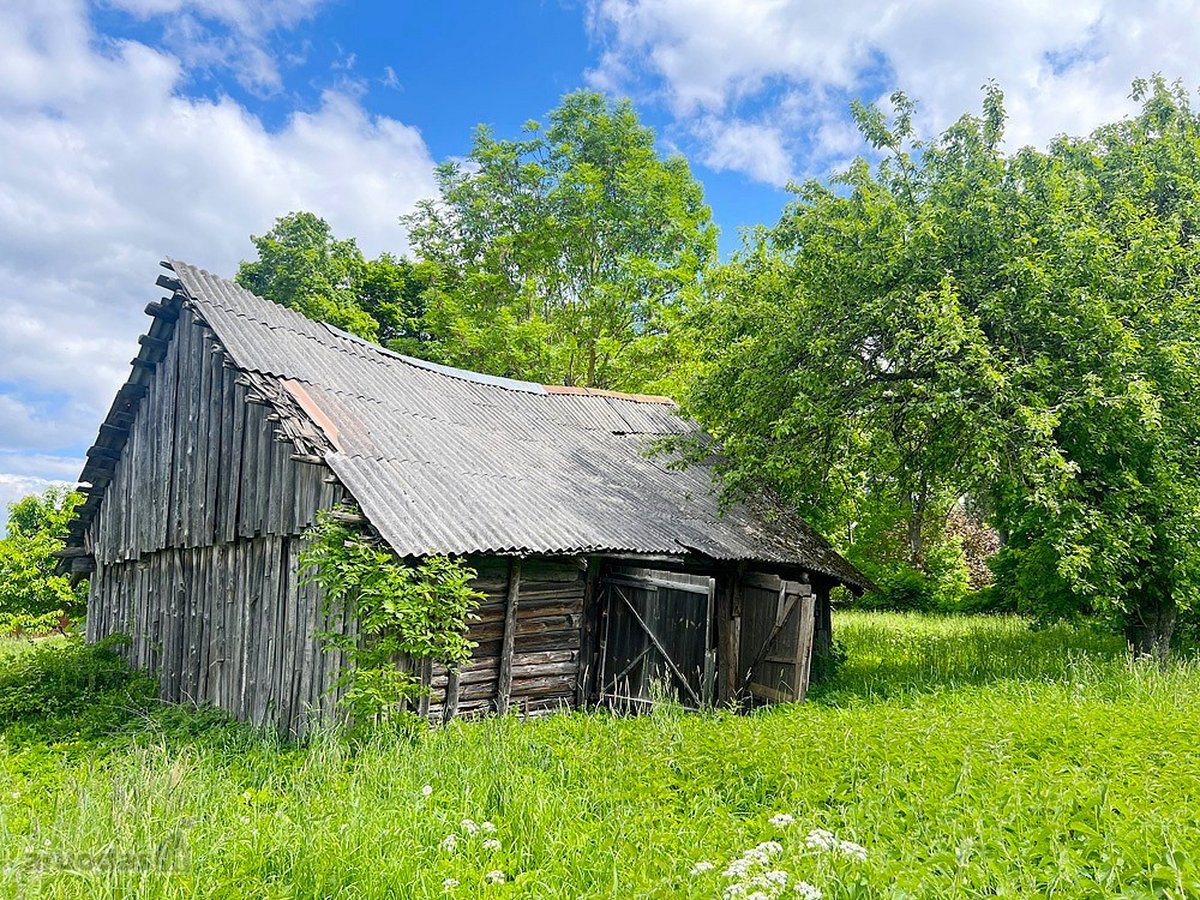 Pirtis Prie Ežero Kranto Ir Autentiška Sodyba - nuotraukos Nr. 21
