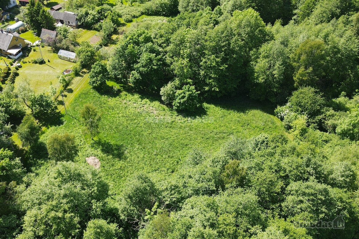 Graži 2500/20000 dalis žemės sklypo šalia - nuotraukos Nr. 3