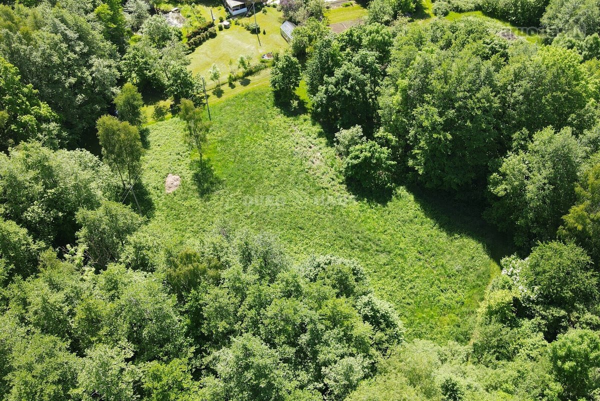 Graži 2500/20000 dalis žemės sklypo šalia - nuotraukos Nr. 4