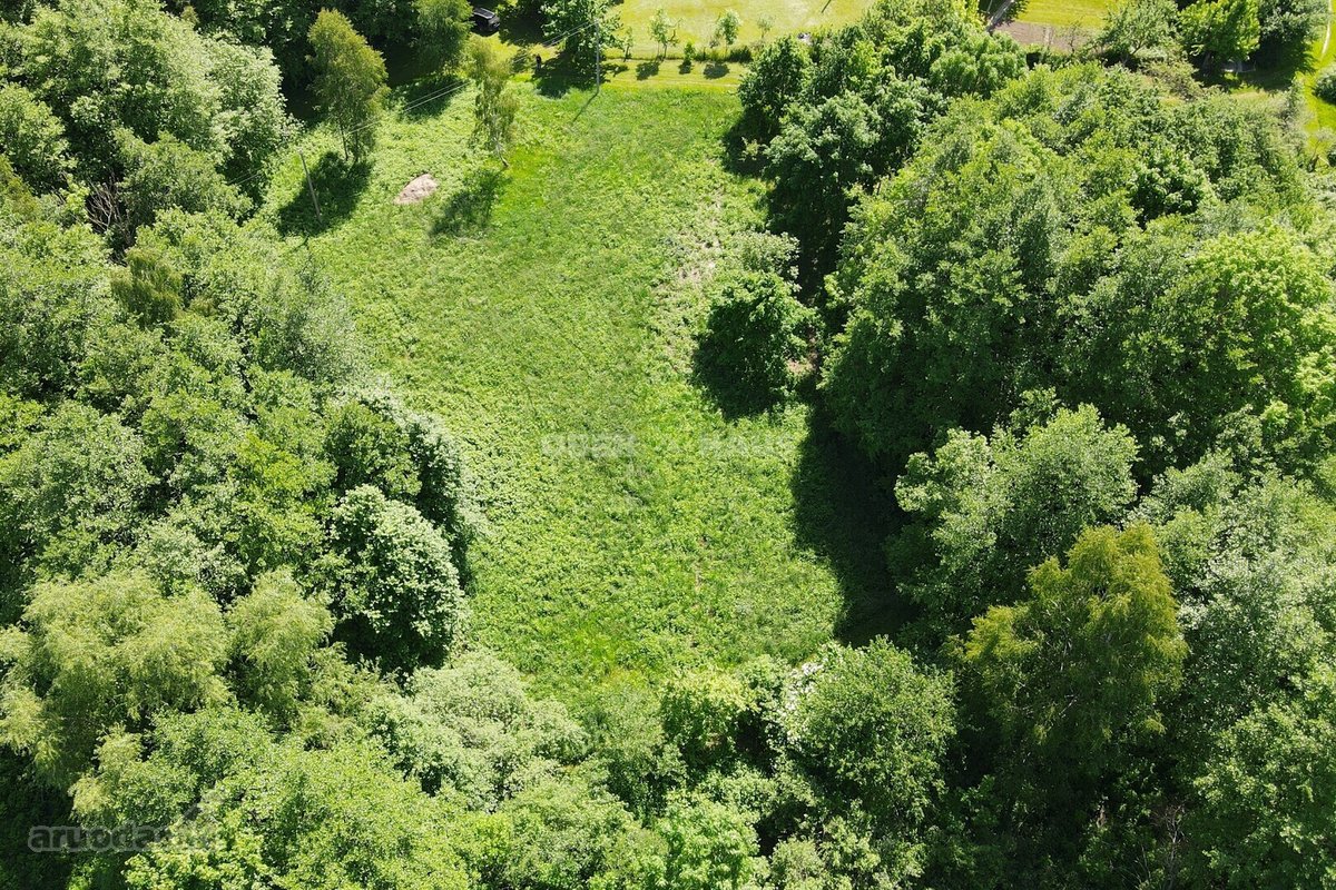 Graži 2500/20000 dalis žemės sklypo šalia - nuotraukos Nr. 5