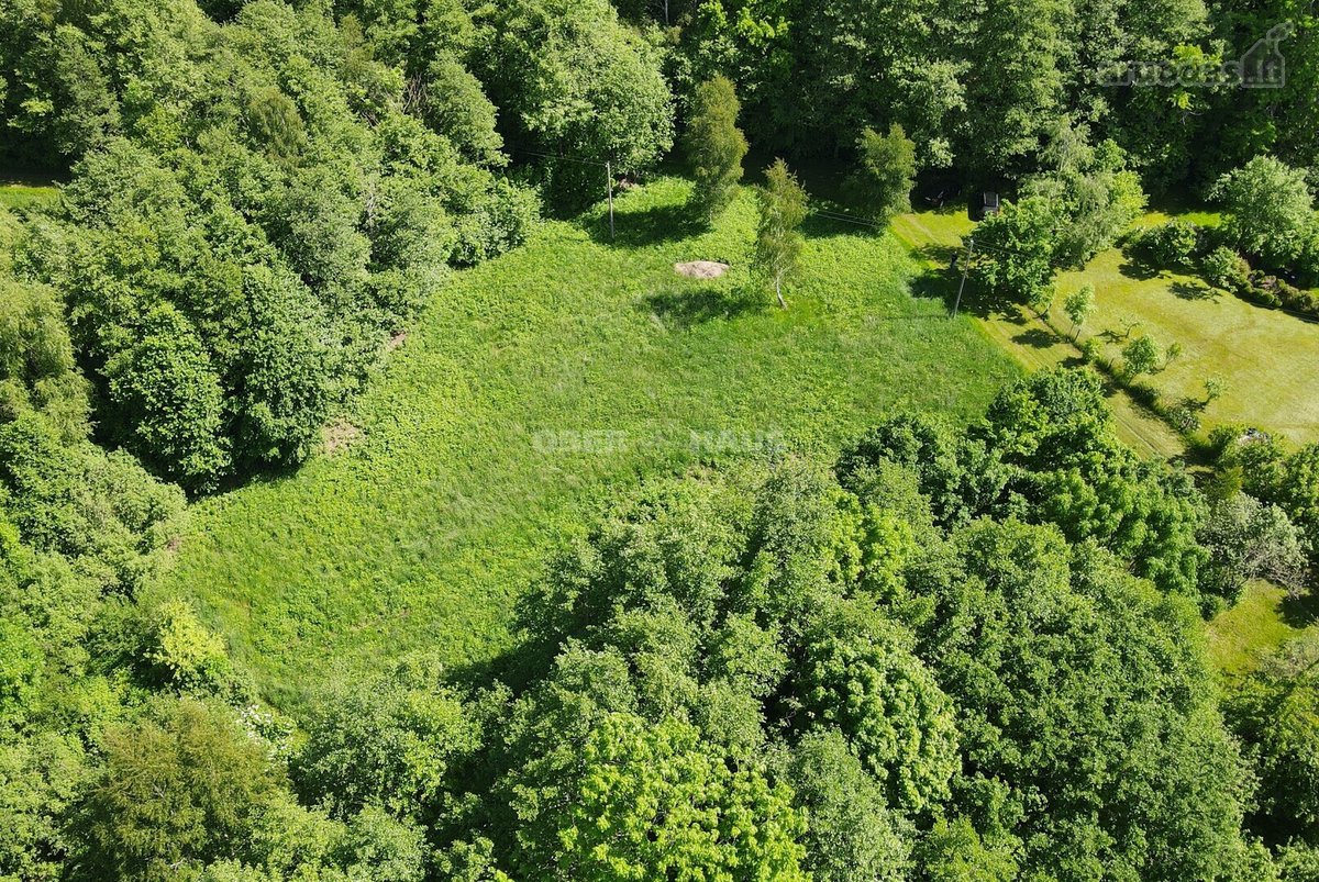 Graži 2500/20000 dalis žemės sklypo šalia - nuotraukos Nr. 6