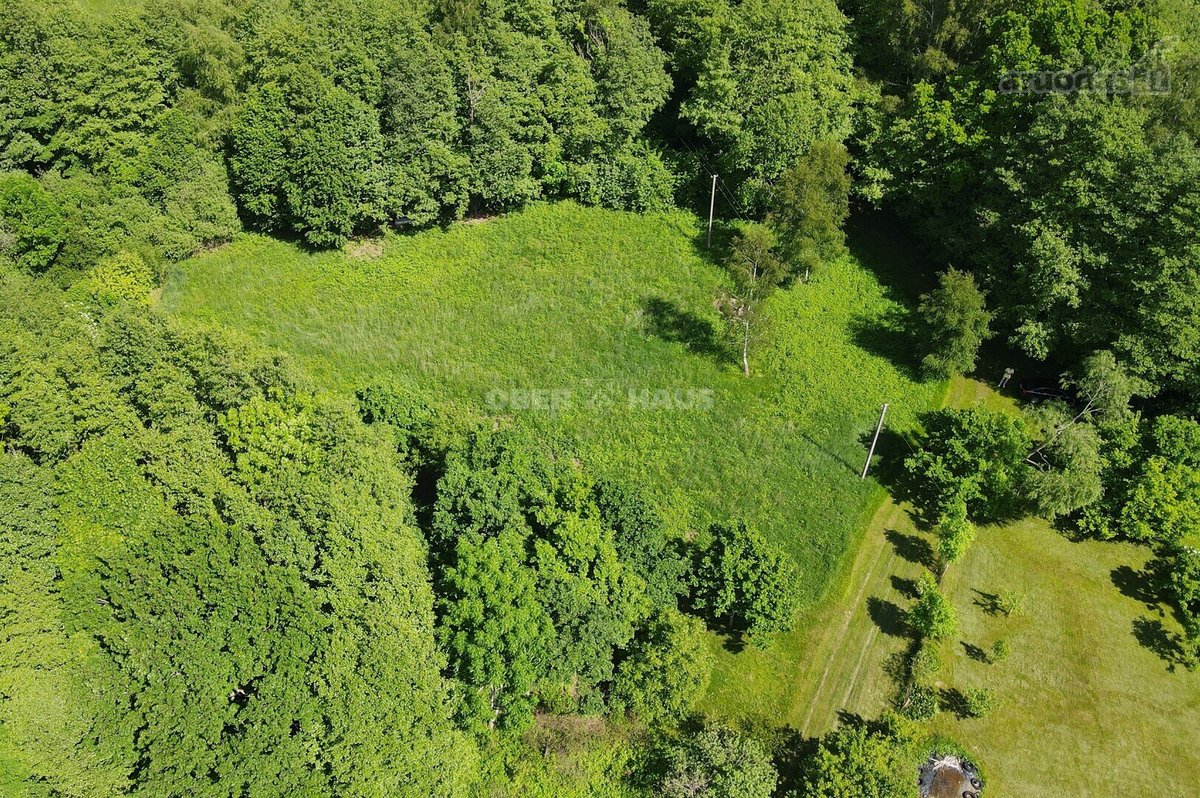 Graži 2500/20000 dalis žemės sklypo šalia - nuotraukos Nr. 7