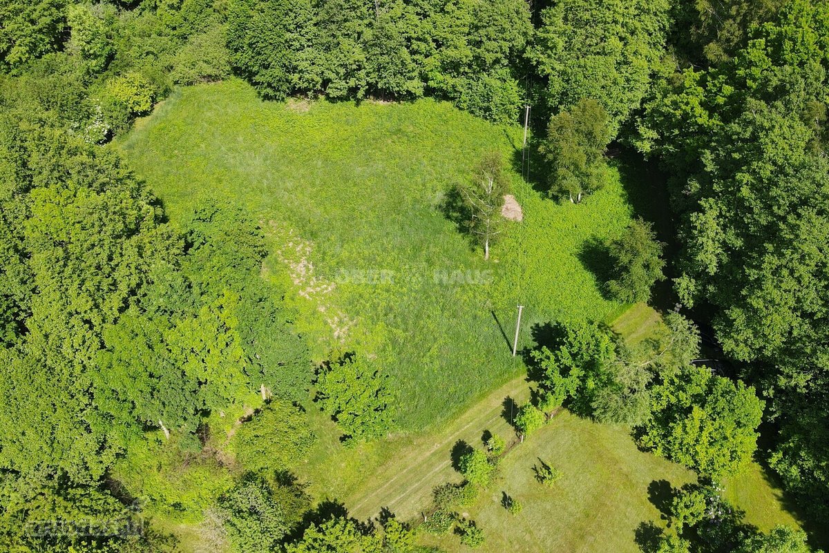 Graži 2500/20000 dalis žemės sklypo šalia - nuotraukos Nr. 8