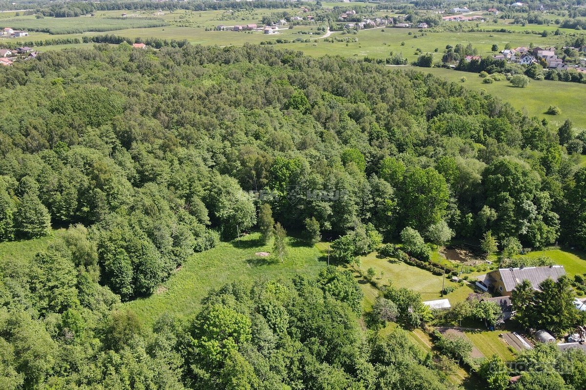 Graži 2500/20000 dalis žemės sklypo šalia - nuotraukos Nr. 13