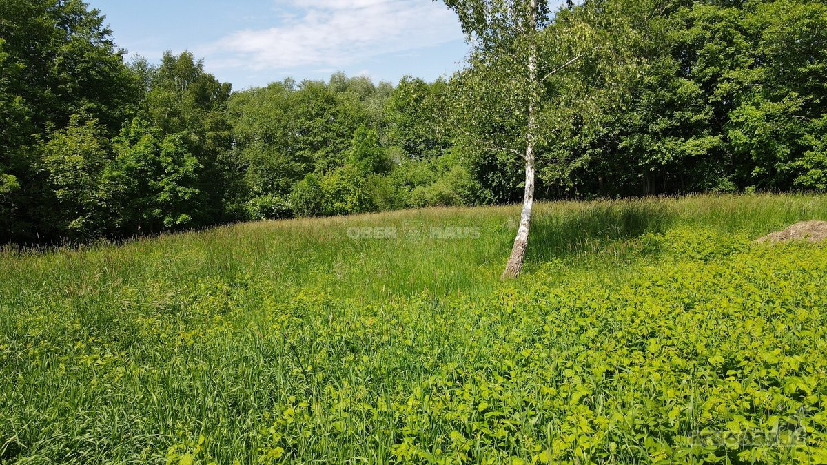 Graži 2500/20000 dalis žemės sklypo šalia - nuotraukos Nr. 21