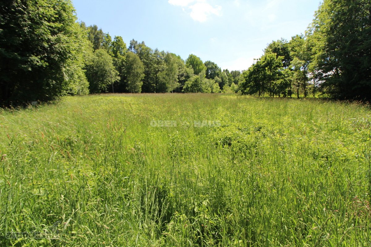 Graži 2500/20000 dalis žemės sklypo šalia - nuotraukos Nr. 22