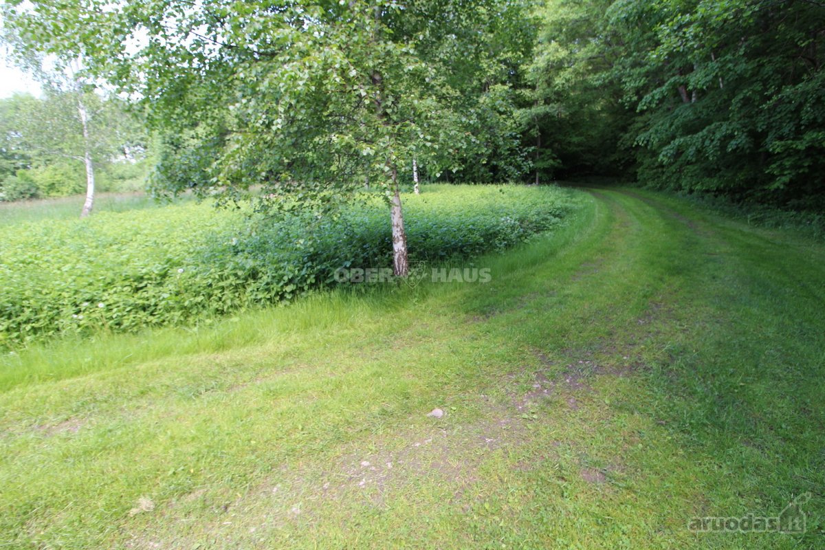 Graži 2500/20000 dalis žemės sklypo šalia - nuotraukos Nr. 23