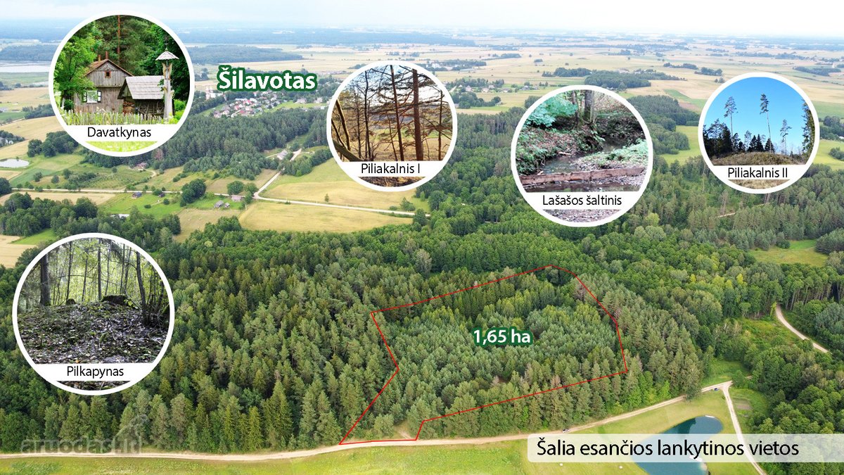 Ieškantiems Ramybės, Gamtos Ir Privatumo – - nuotraukos Nr. 25
