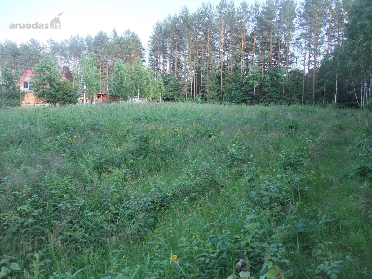 Parduodamas 1,6 ha sklypas Tuščiaulių k. - nuotraukos Nr. 5