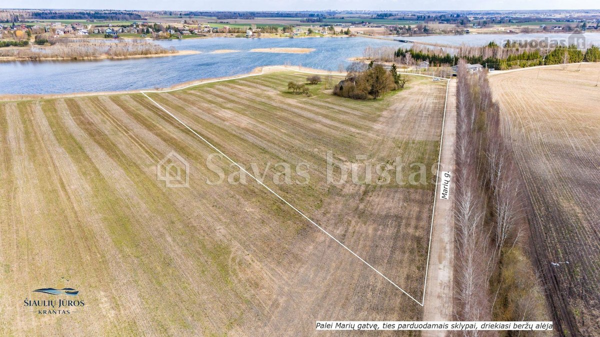 Parduodami unikalūs sklypai prie vandens - nuotraukos Nr. 12