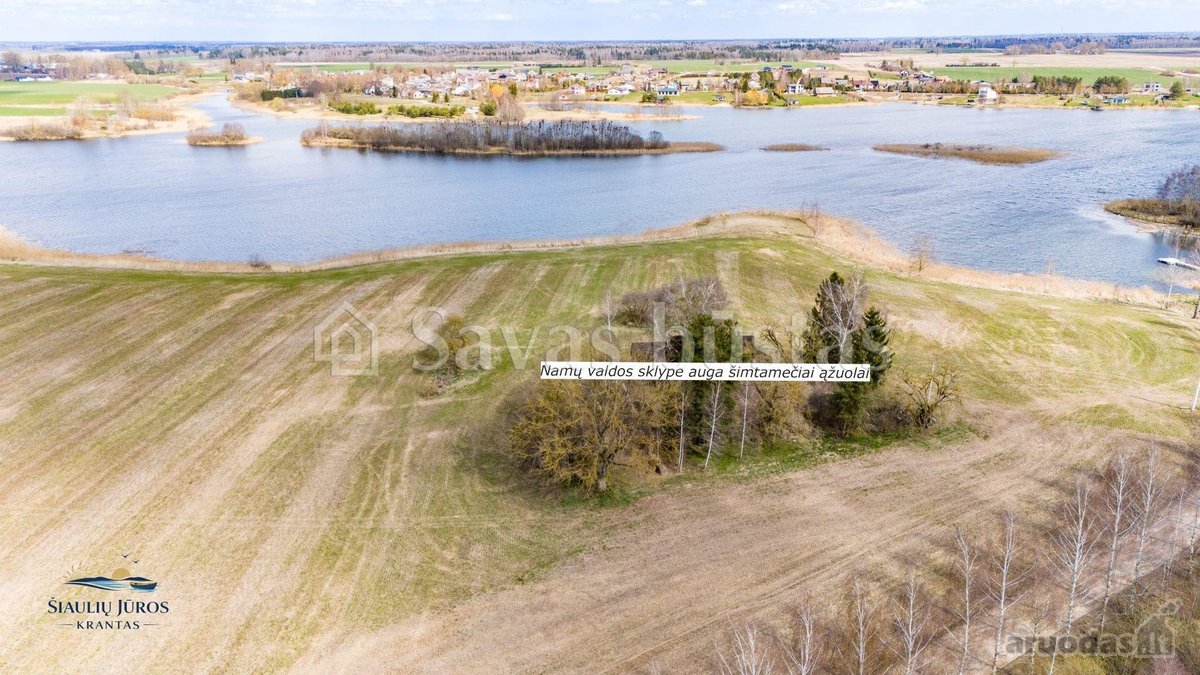 Parduodami unikalūs sklypai prie vandens - nuotraukos Nr. 13