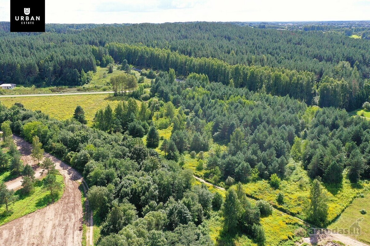 Parduodamas investicinis objektas, sklypų - nuotraukos Nr. 6