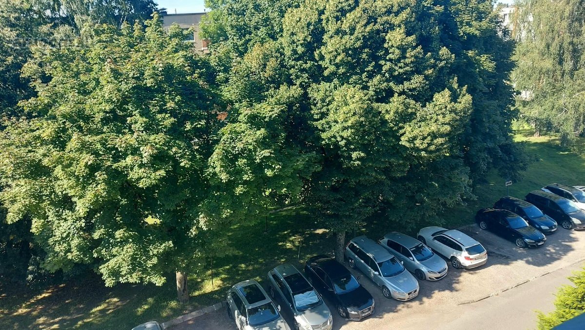Parduodamas erdvus 3 kambarių butas Alytuje, - nuotraukos Nr. 13