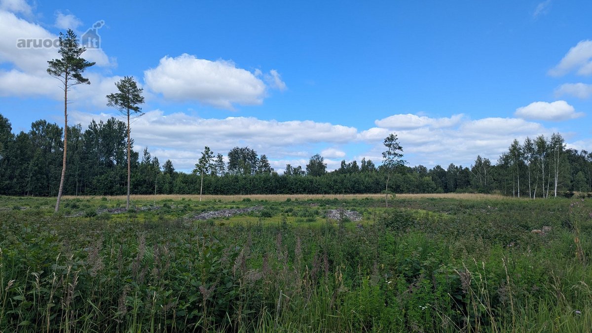 Parduodamas žemės ūkio paskirties sklypas - nuotraukos Nr. 7