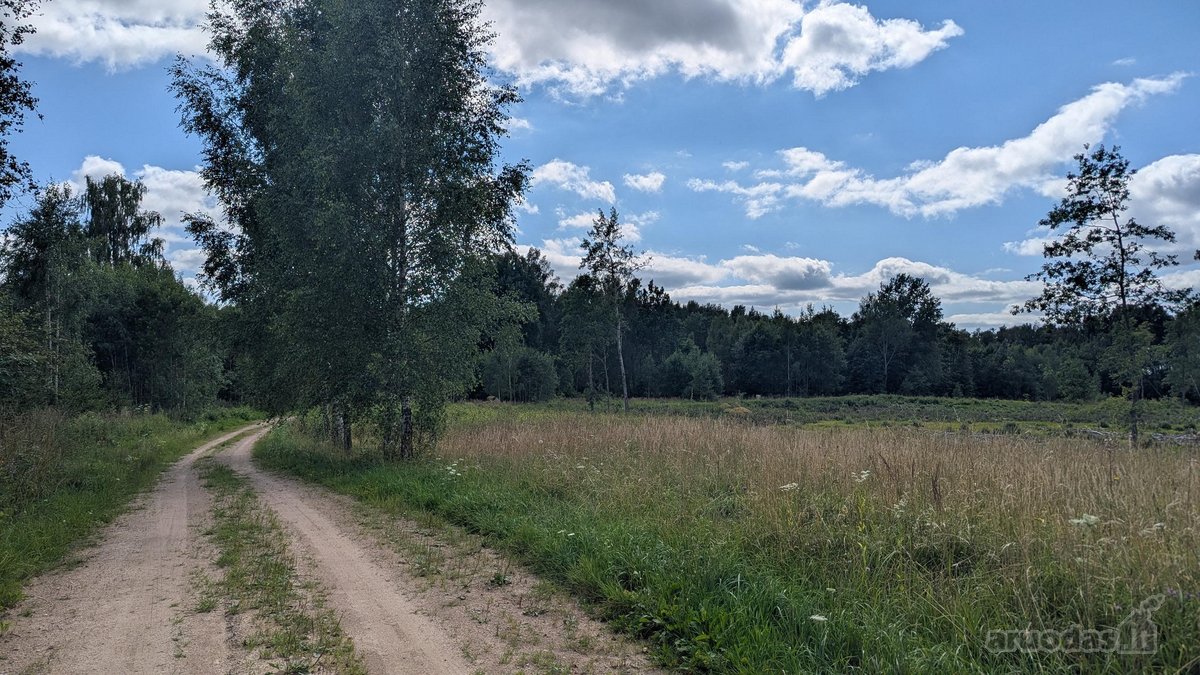 Parduodamas žemės ūkio paskirties sklypas - nuotraukos Nr. 5