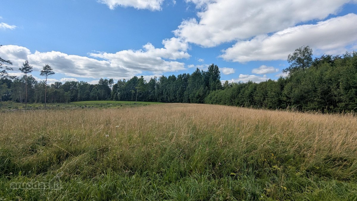 Parduodamas žemės ūkio paskirties sklypas - nuotraukos Nr. 6