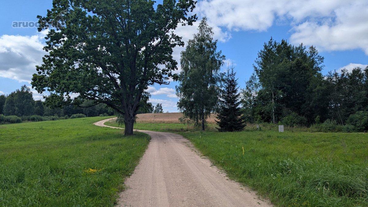 Parduodamas žemės ūkio paskirties sklypas - nuotraukos Nr. 8
