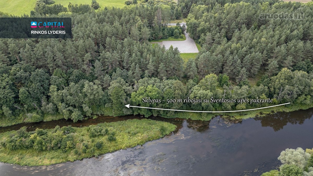 Anykščių raj., Pagojės II k. parduodami miškų - nuotraukos Nr. 6