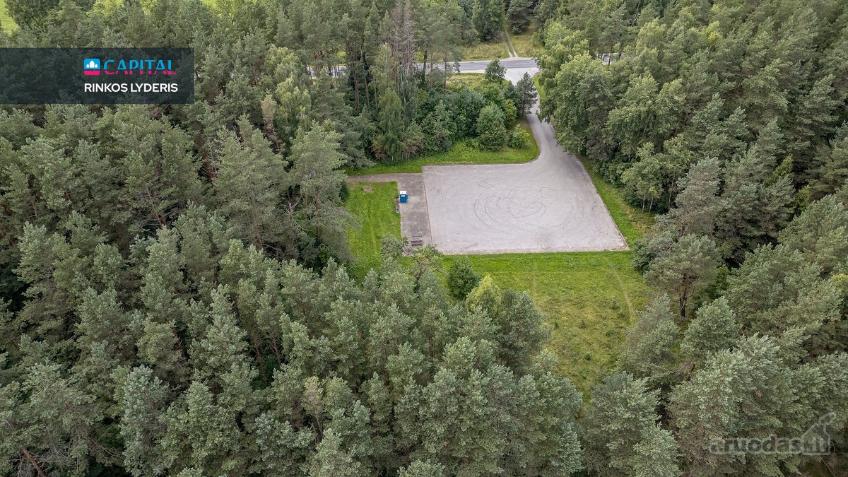 Anykščių raj., Pagojės II k. parduodami miškų - nuotraukos Nr. 7