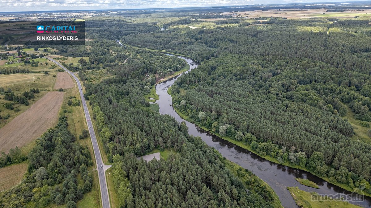 Anykščių raj., Pagojės II k. parduodami miškų - nuotraukos Nr. 9
