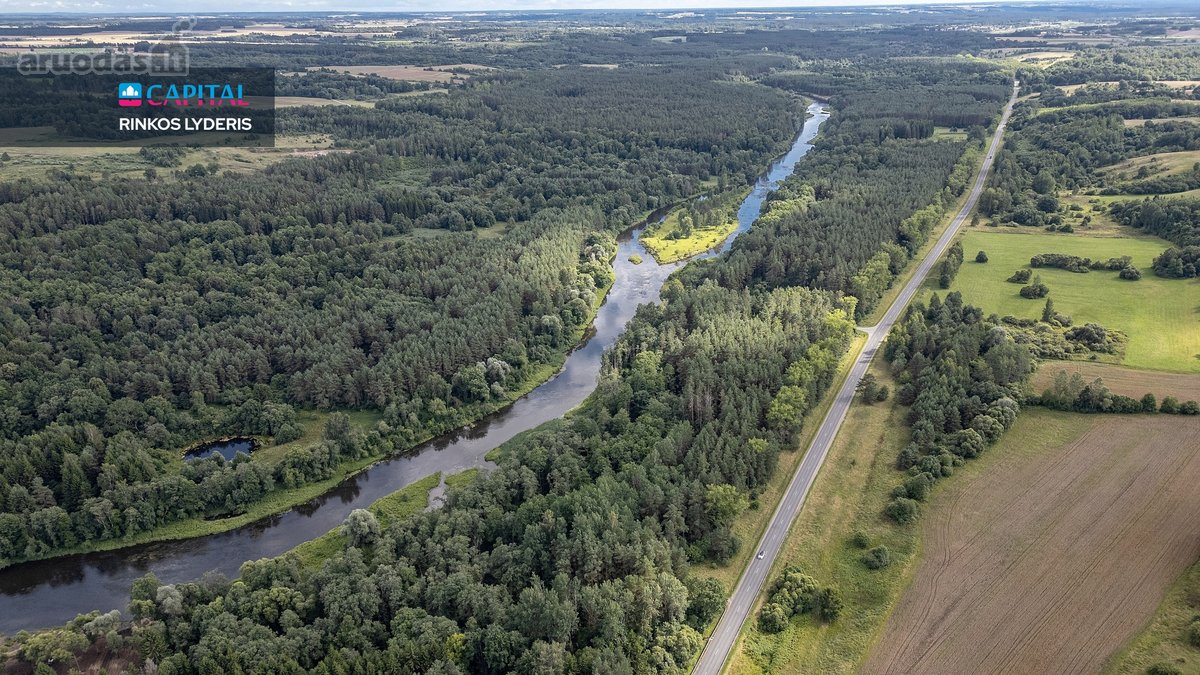 Anykščių raj., Pagojės II k. parduodami miškų - nuotraukos Nr. 10