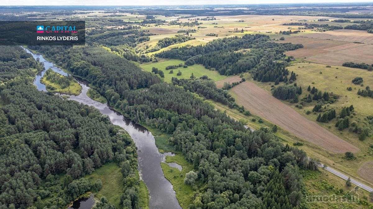 Anykščių raj., Pagojės II k. parduodami miškų - nuotraukos Nr. 11