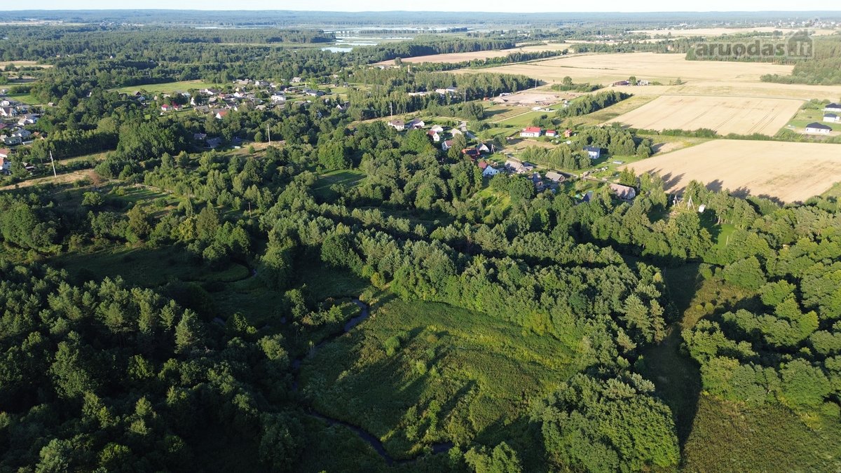 Parduodamas Namų Valdos Sklypas Kenoje, Miško - nuotraukos Nr. 12