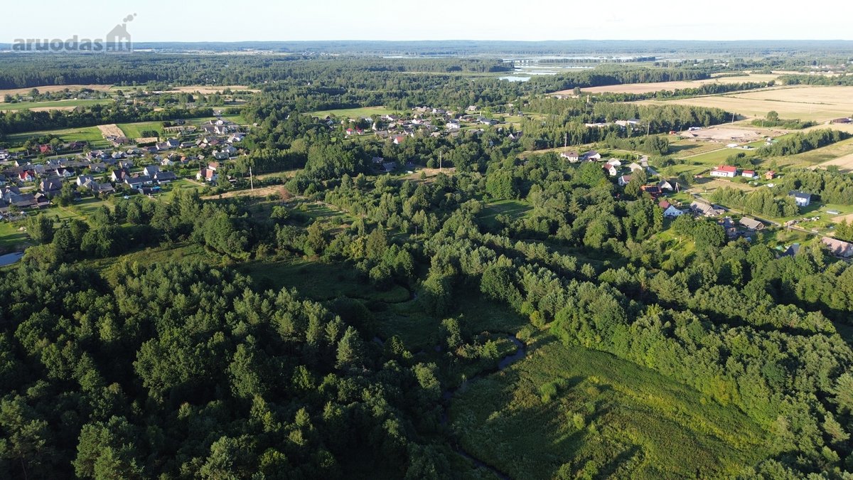 Parduodamas Namų Valdos Sklypas Kenoje, Miško - nuotraukos Nr. 13