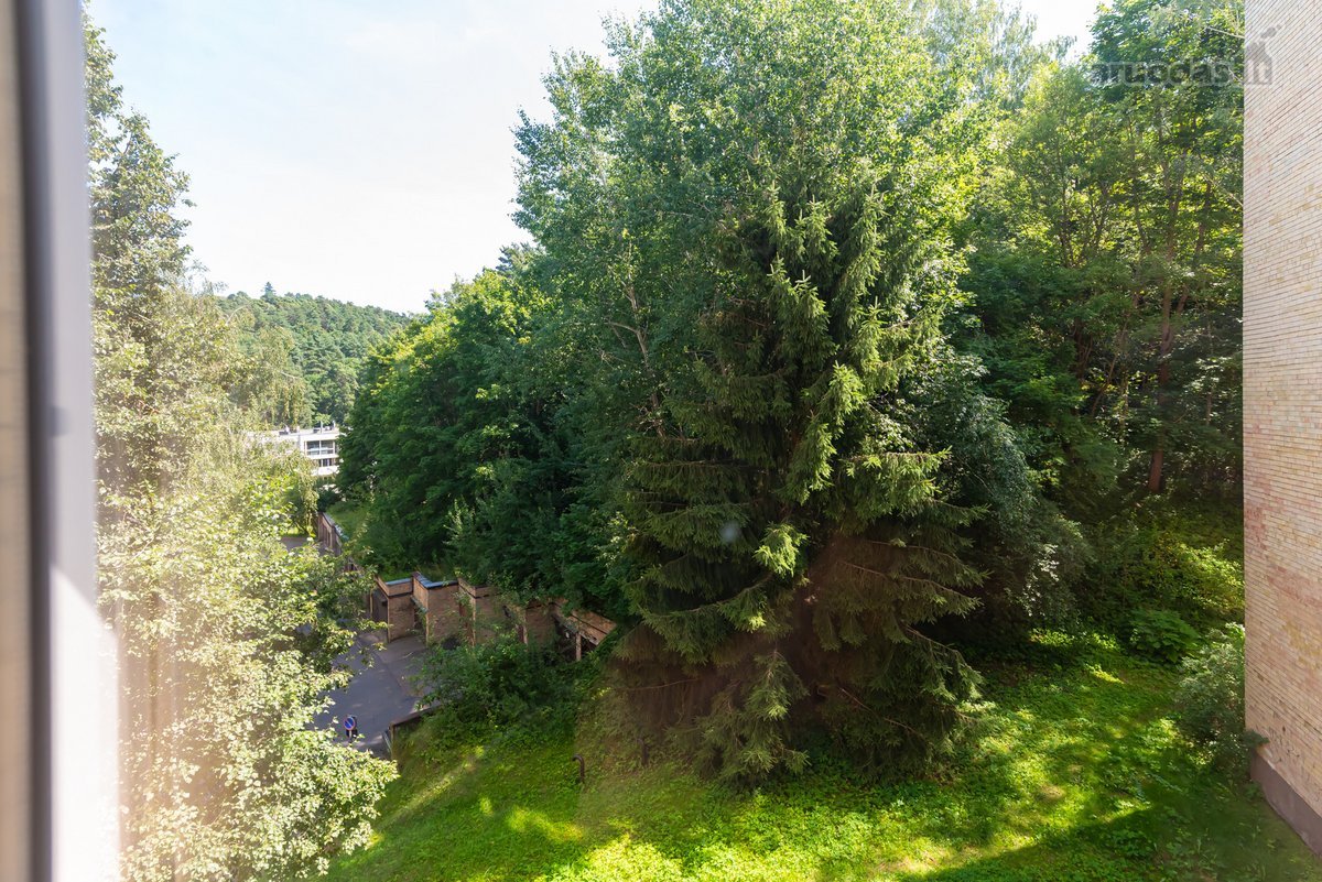 Išnuomojamas erdvus 52,14 kv.m. 2,5 kambarių - nuotraukos Nr. 12