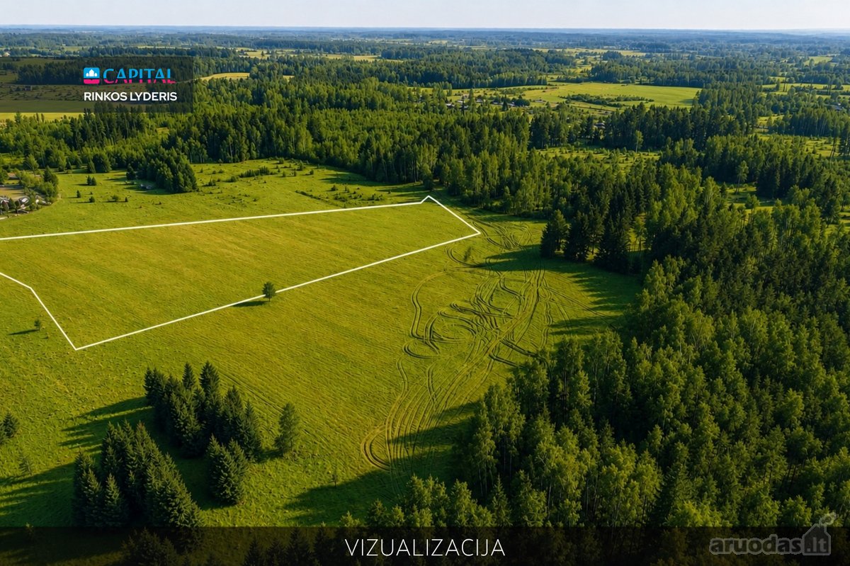 Parduodamas 3,2803 ha Žemės Ūkio Paskirties - nuotraukos Nr. 2