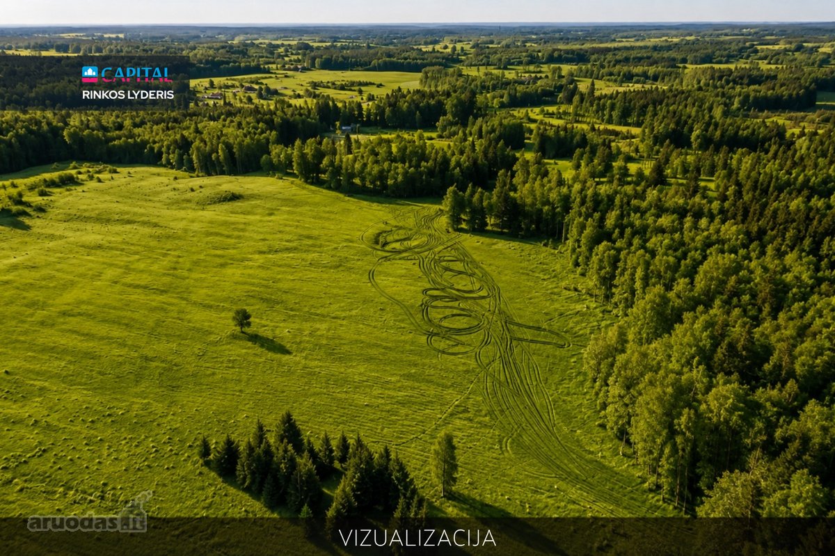 Parduodamas 3,2803 ha Žemės Ūkio Paskirties - nuotraukos Nr. 3