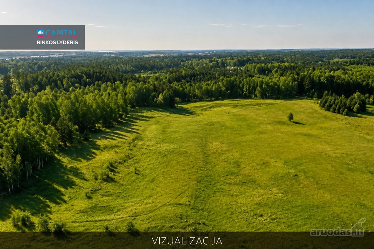 Parduodamas 3,2803 ha Žemės Ūkio Paskirties - nuotraukos Nr. 4