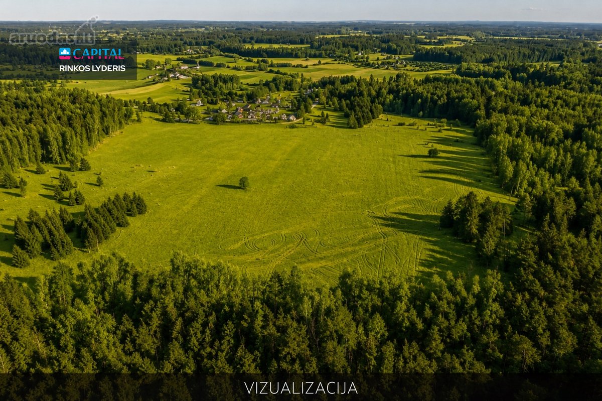 Parduodamas 3,2803 ha Žemės Ūkio Paskirties - nuotraukos Nr. 5