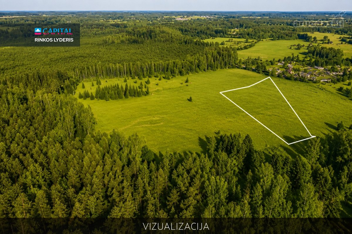 Parduodamas 3,2803 ha Žemės Ūkio Paskirties - nuotraukos Nr. 6