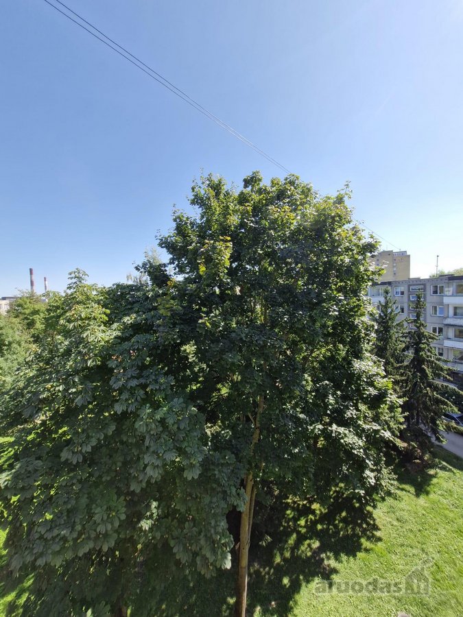 Brokerių Paslaugos Nedomina - nuotraukos Nr. 21