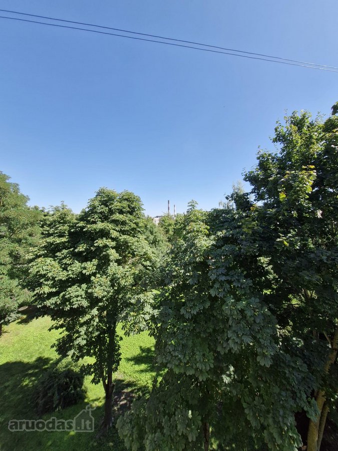 Brokerių Paslaugos Nedomina - nuotraukos Nr. 22