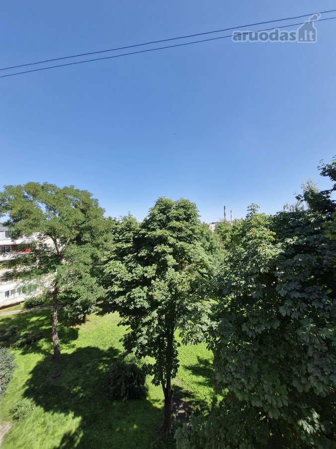 Brokerių Paslaugos Nedomina - nuotraukos Nr. 23