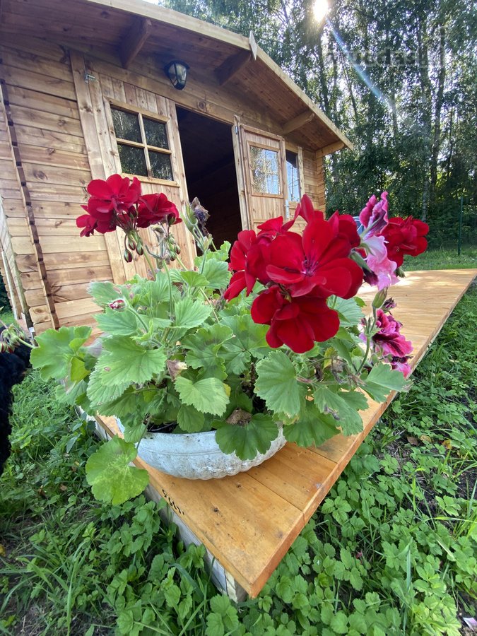 Parduodamas erdvus 12 arų sklypas su dviem - nuotraukos Nr. 2