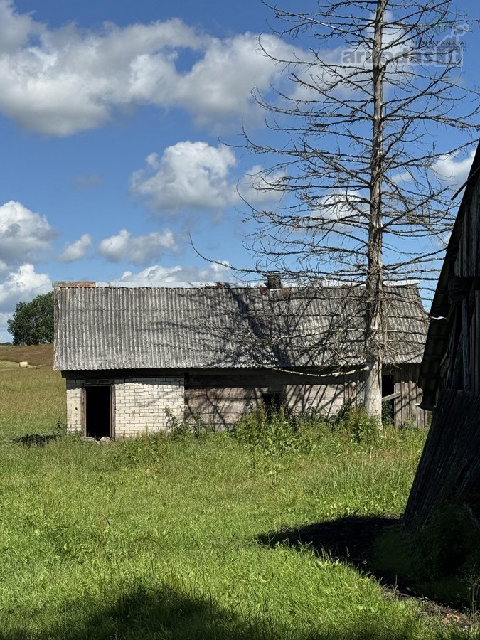 Sodyba su 4,7 ha sklypu šalia Kantaučių - nuotraukos Nr. 3