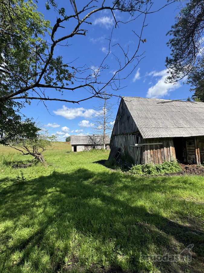Sodyba su 4,7 ha sklypu šalia Kantaučių - nuotraukos Nr. 5